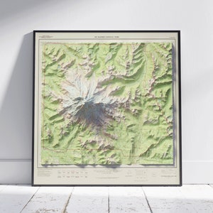 Mount Rainier National Park Karte ~ Flache 2D Vintage Reliefkarte Druck Poster Wandkunst Dekor