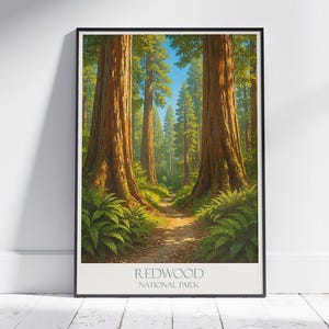 Redwood National Park Print: California Forest Travel Poster