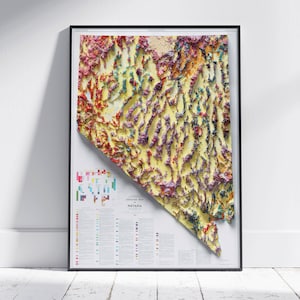 Nevada Vintage geologische kaart afdrukken ~ platte 2D schaduwrijke reliëf ~ poster Wall Art decor topografisch