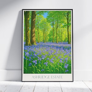 Ashridge Cabochon Bluebell Vintage Poster | Frühlingswald Kunstdruck | UK Natur Wandkunst