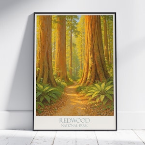 Redwood National Park Art Print: California Travel Poster