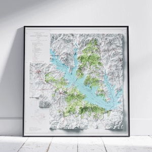 Angelina National Forest, Texas ~ schaduwrijke reliëf platte 2D kaart afdrukken ~ poster Wall Art decor topografie
