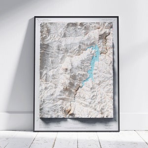 Cheesman Lake, Colorado ~ Vintage schaduwrijke reliëf platte 2D kaart afdrukken ~ Poster Wall Art Decor topografie