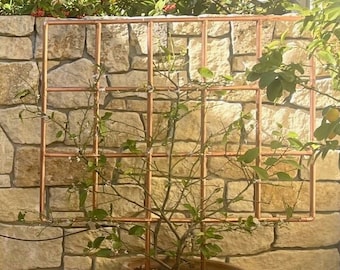 Copper rose, vine & grape trellis