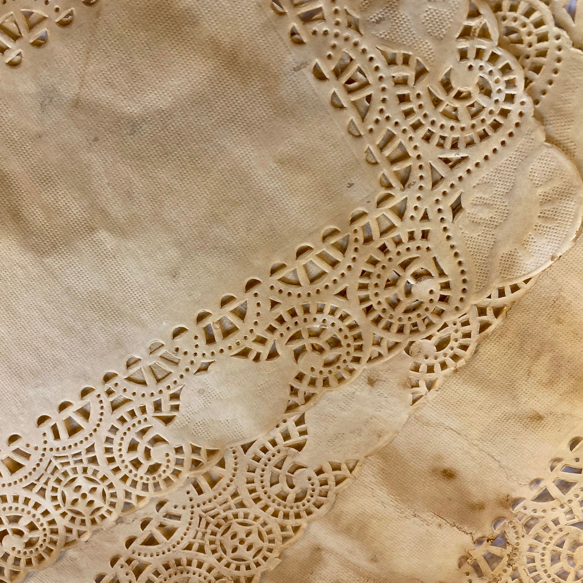 Lace Rectangular Doiley 9 Coffee Stained Rectangle Lace Paper Doilies Bundle Variety - Etsy