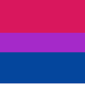 Bi Flag Print
