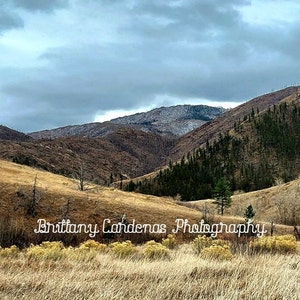 Peaceful Colorado Mountain