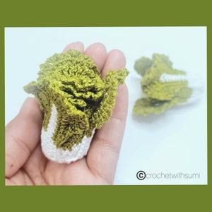 May include: Two crocheted green and white cabbage vegetables. The cabbage is made with a textured stitch and has a white base.