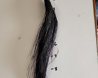 TB48 Real 10" Turkey Beard