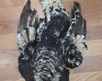 PP5 Narragansett Turkey Feathers Tail Skin Pelt