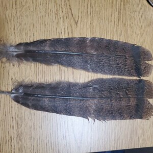 XBH17 Matched Pair Mottled Turkey Natural Colored Tail Feather