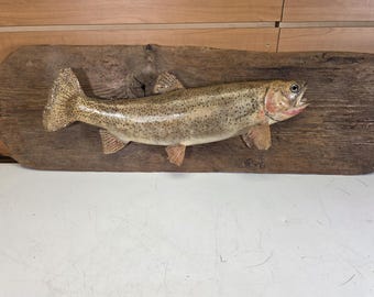 JVBH106 Trout 21" Fish Taxidermy