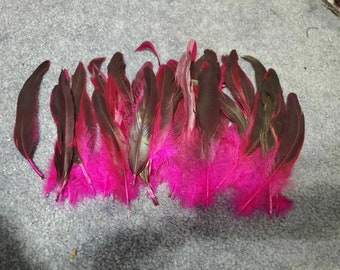 Ymp51 Lot of 50 Dyed Purple to fushia 5-7" Tail Feathers