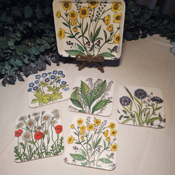 Mebel Coasters and Tray, Botanical Garden, 6 Piece Set