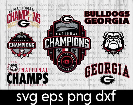 Men's Georgia Bulldogs 2023 Champions & Vince Dooley Patch Jersey - Al