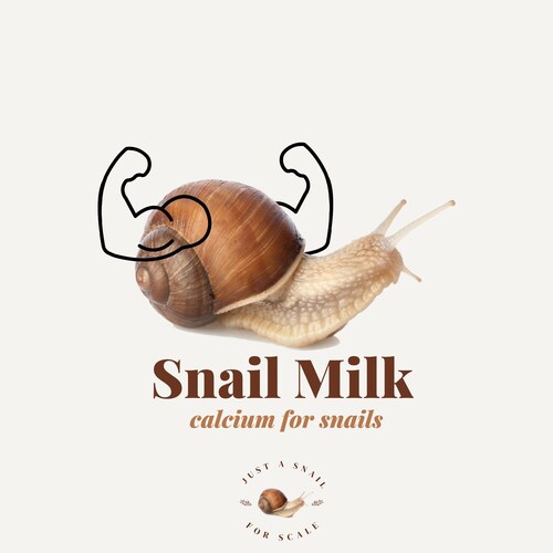 SNAIL MILK Calcium Pet Land Milk Snail Supplement Supply One Month