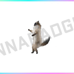 Transparent Background Dancing Cat Stream Decoration for Channel Rewards and Cheer Redeems for Content Creators using OBS