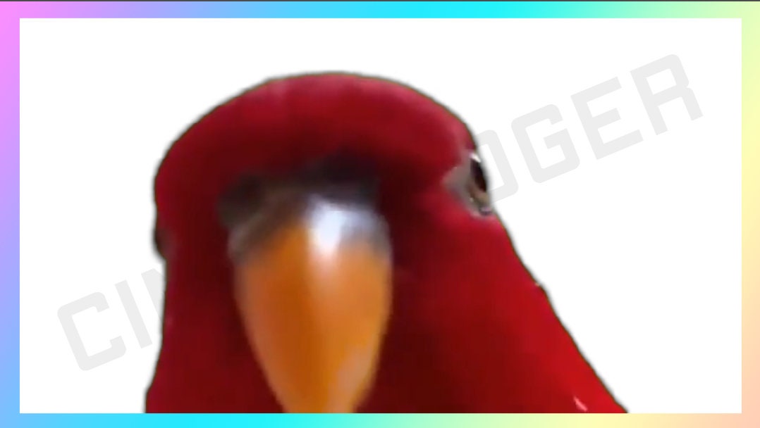 Transparent Laughing Red Bird Stream Decoration With Sound for Use in