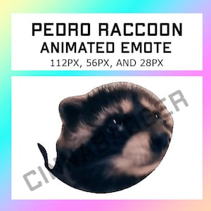 Animated Spinning Raccoon Pedro Tiktok Meme Emote for use on Streaming Sites such as Twitch, Kick, Youtube, Discord and more