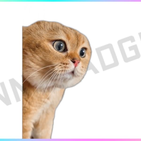 Transparent Background Aggressive Cat Stream Decoration for Channel Rewards and Cheer Redeems for Content Creators using OBS