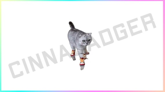 Transparent Cat Wearing Shoes Meme Stream Decoration for Use in