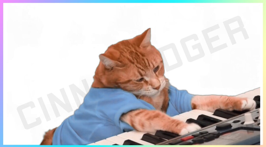 Transparent Keyboard Cat Stream Decoration for Use in OBS by Content