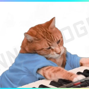 Transparent Keyboard Cat Stream Decoration for use in OBS by Content Creators and Streamers for Twitch Kick Youtube Etc