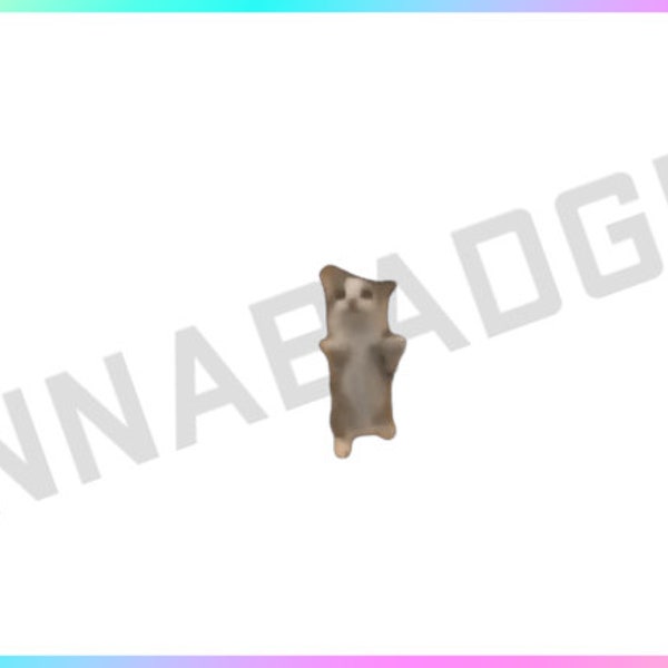 Transparent Background Jumping Kitten Stream Decoration for Channel Rewards and Cheer Redeems for Content Creators using OBS