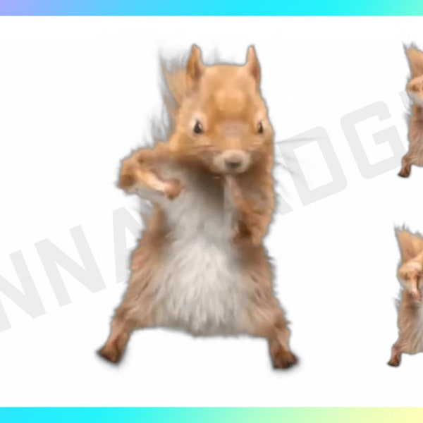 Transparent Background Dancing Squirrel with Music Stream Decoration for Channel Rewards and Cheer Redeems for Content Creators using OBS