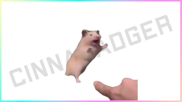 Transparent Background Hamster Being Poked Stream Decoration for Channel Rewards and Cheer Redeems for Content Creators using OBS