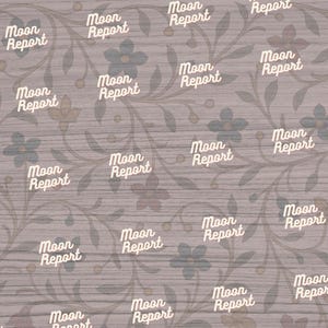 Pattern of small repeating text reading 'Moon Report' with a golden crescent moon above each word, arranged diagonally across a brown background filled with subtle floral motifs.