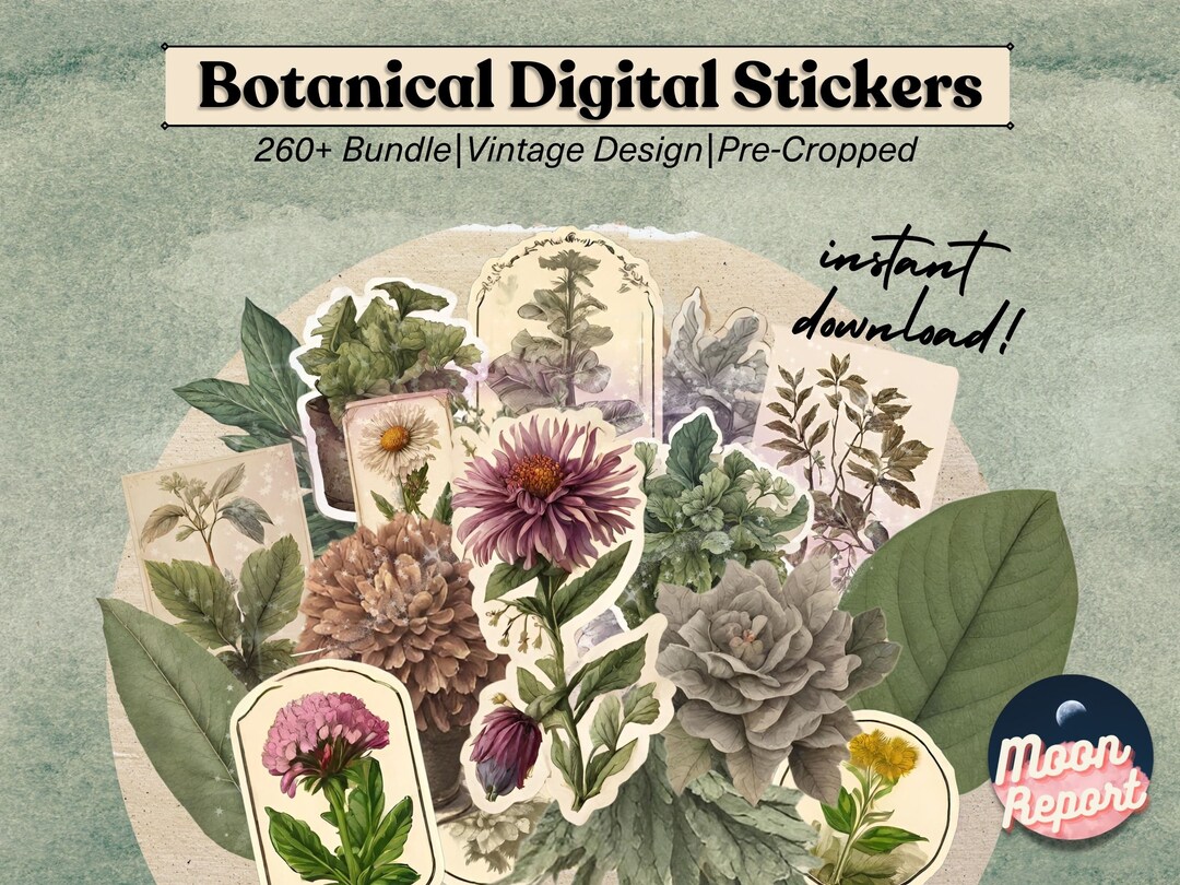 Vintage Botanical Digital Stickers – Watercolor PNG Bundle (digital ...