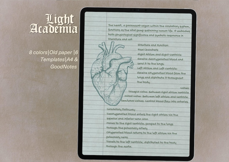 Light Academia Notebook Paper, A4 Printable Pages, Digital GoodNotes Templates image 5