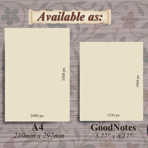 Graphic showing two size options for the digital notebook pages: an A4 page on the left (210mm × 297mm, labeled 2480px by 3508px) and a GoodNotes page on the right (5.77″ × 8.17″, labeled 1536px by 1980px). Both are over a floral background with a scroll banner reading 'Available as' and the Moon Report logo.