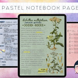 May include: Two pages from a pastel notebook with handwritten notes. The left page features a drawing of a musical instrument and text about Dengaku. The right page features a botanical illustration of Achillea millefolium, commonly known as common yarrow, with text about its properties and uses. The text includes the Spanish name "plamado" and other common names for the plant.