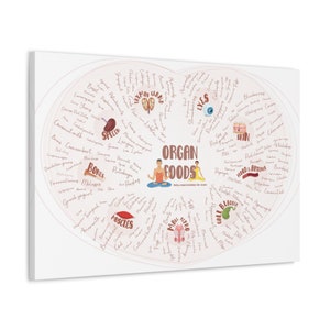 Pode incluir: Um gráfico ilustrado branco e rosa com o título "Organ Foods" e uma lista de alimentos que são bons para os diferentes órgãos do corpo. O gráfico tem a forma de um coração e apresenta ilustrações de órgãos e alimentos.