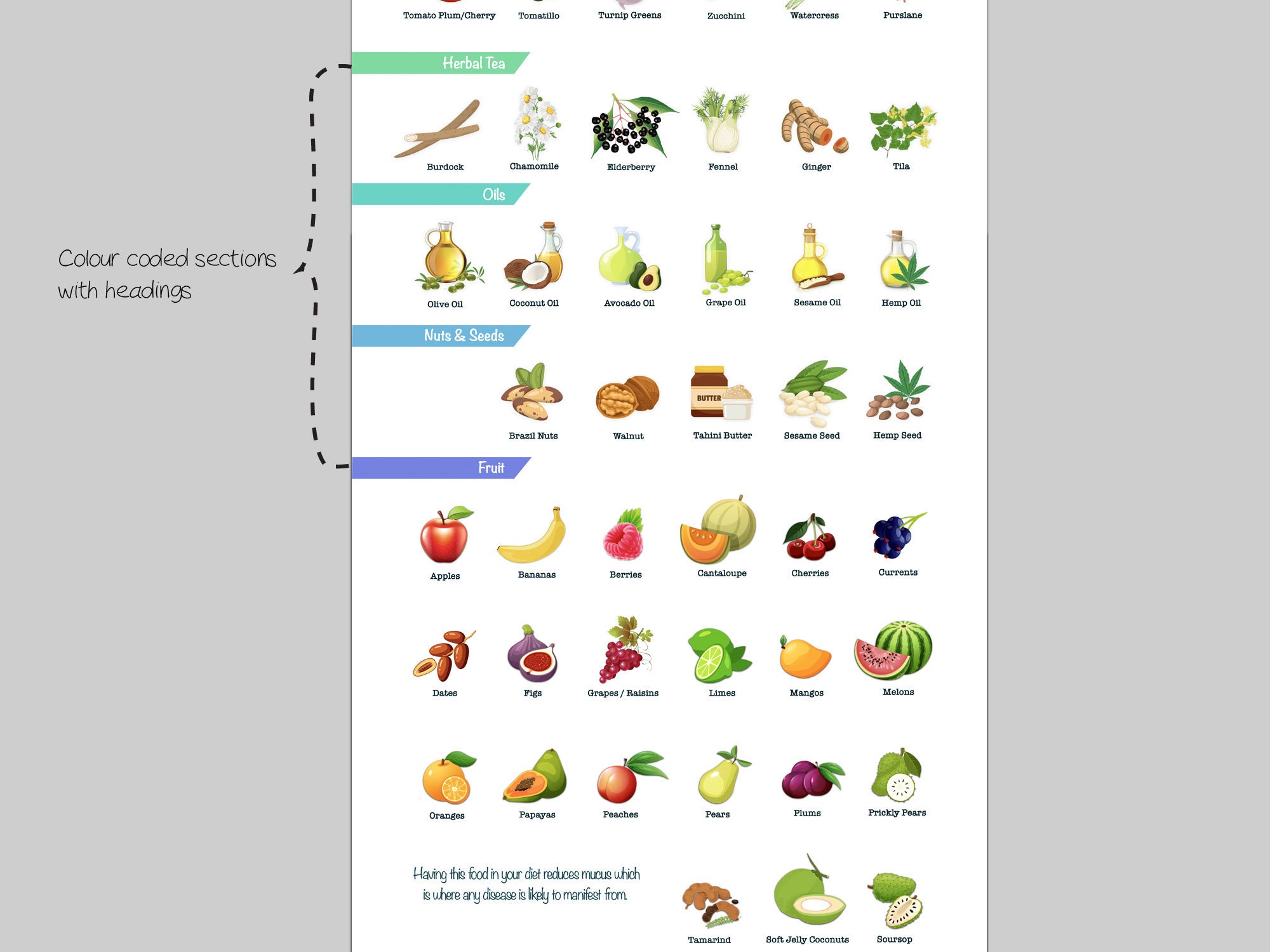 Dr Sebi Chart, Alkaline, Food Poster, Diet, You Are What You Eat