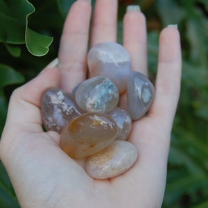 Flower Agate Tumbles | Sakura Agate Tumbles | Natural Flower Agate | Polished Crystal Tumbles | High Quality Flower Agate