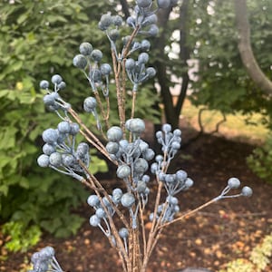 May include: A decorative artificial branch featuring numerous small, round, dusty blue berries attached to thin, textured brown stems. The branch has a branching structure with clusters of berries extending outward from the central woody stem.
