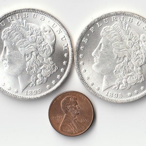 1895 Morgan Dollar Type Two Face Two Headed Magic Trick Lucky Metal Coin