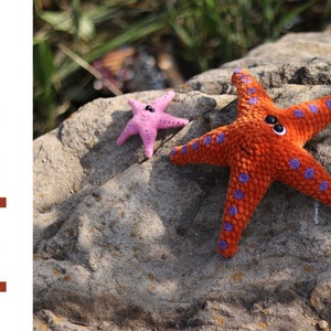 gehaakt zeesterpatroon. grappig haakpatroon zeester knuffel. Zelfstudie over amigurumi-zeester in het ENG. gehaakt pluchepatroon.