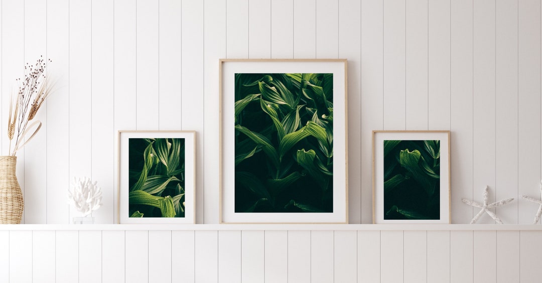Set of 3 Art Prints Plants Botanical Greenery Modern - Etsy