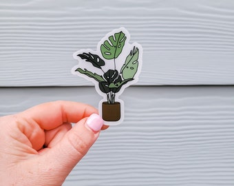 Monstera Sticker | Plant Stickers | Transparent Sticker | Plant Lady | Waterproof Sticker | Laptop Sticker | Nature Decal