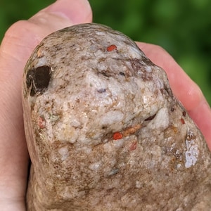 Michigan Puddingstone (quartzite, banded chert, white quartz, red jasper, banded jasper) 1 lb. unpolished natural