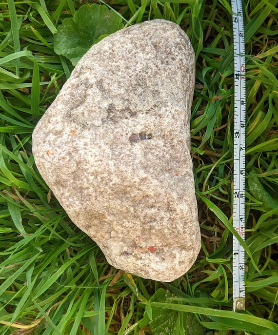 Michigan Puddingstone (quartzite, Banded Chert, White Quartz, Red