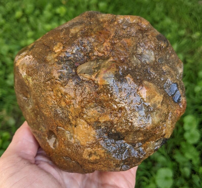 Michigan Puddingstone gray Quartzite Chert Jasper 2.9 Lbs. Etsy