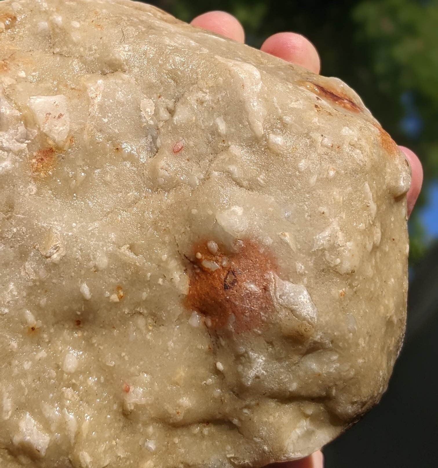Michigan Puddingstone quartzite, Red Jasper 2.4 Lbs. Unpolished Natural