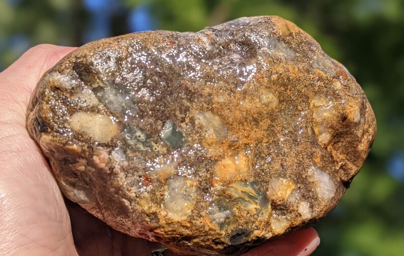 Michigan Puddingstone gray Quartzite Chert Jasper 2.9 Lbs. Etsy