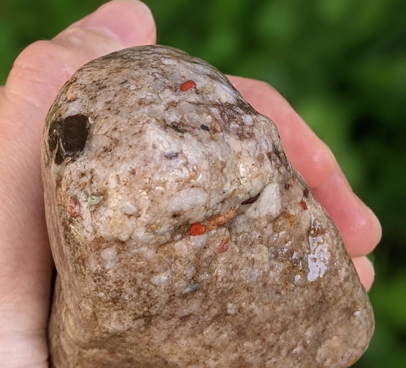 Michigan Puddingstone (quartzite, Banded Chert, White Quartz, Red