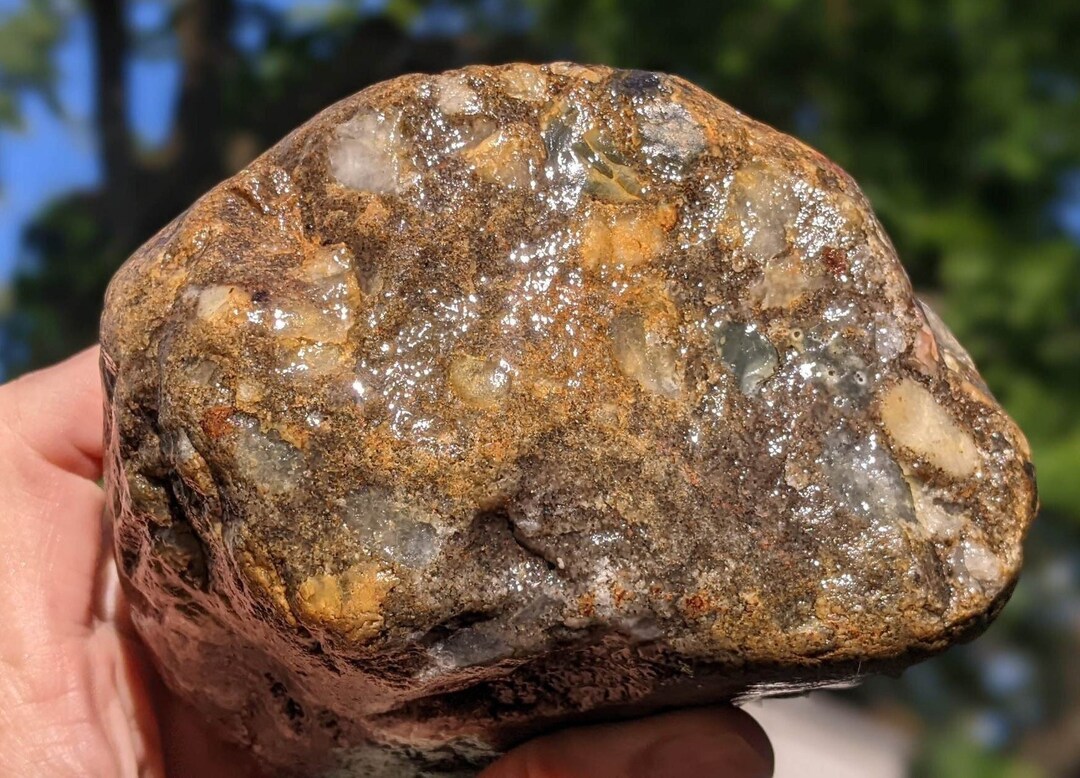 Michigan Puddingstone gray Quartzite, Chert, Jasper 2.9 Lbs. Unpolished